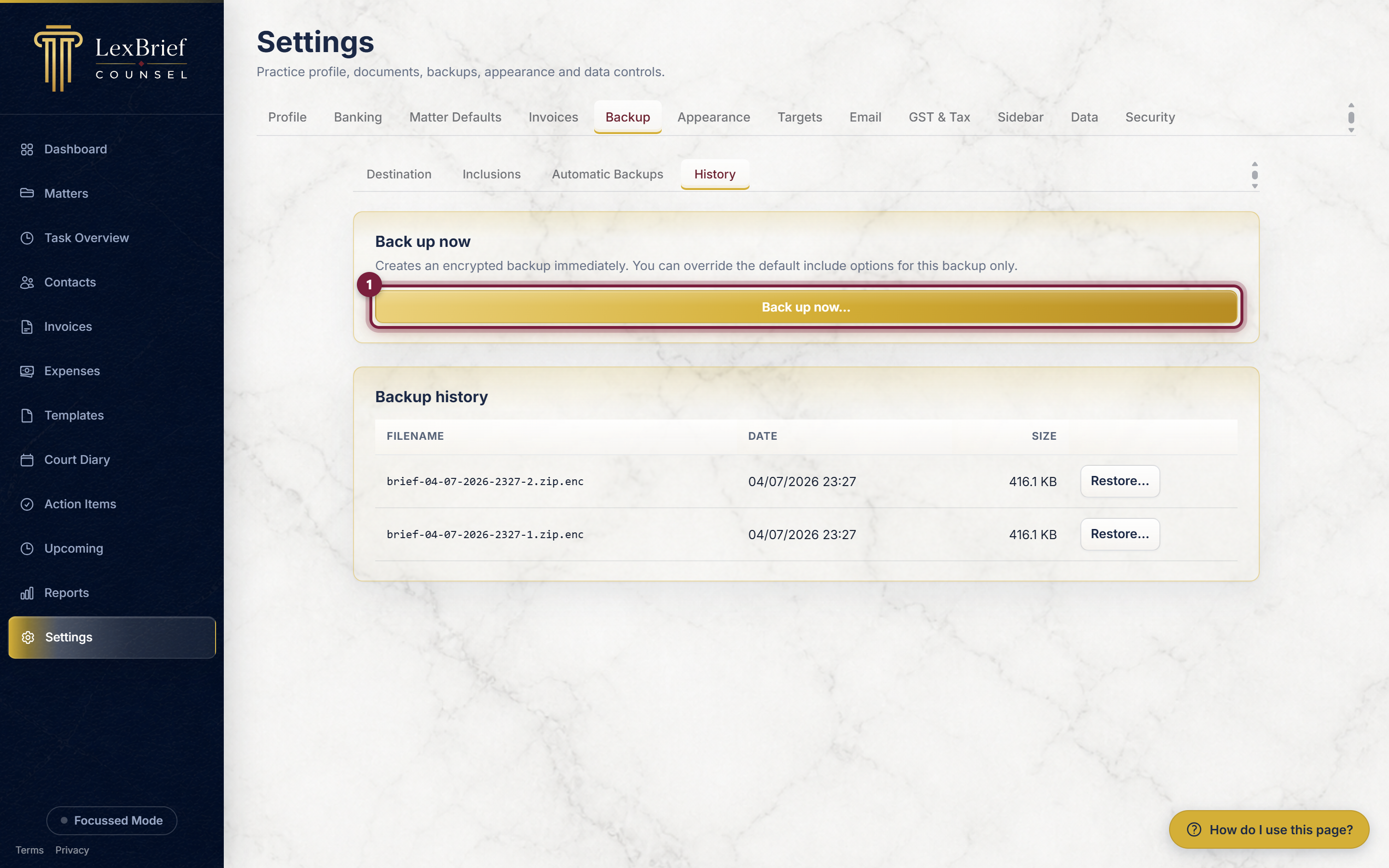 The Back up now button on the History tab, highlighted